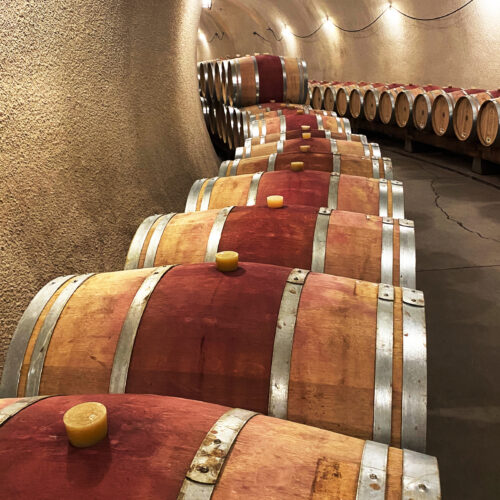 Solvang Wine Tours Wine barrels in cellar