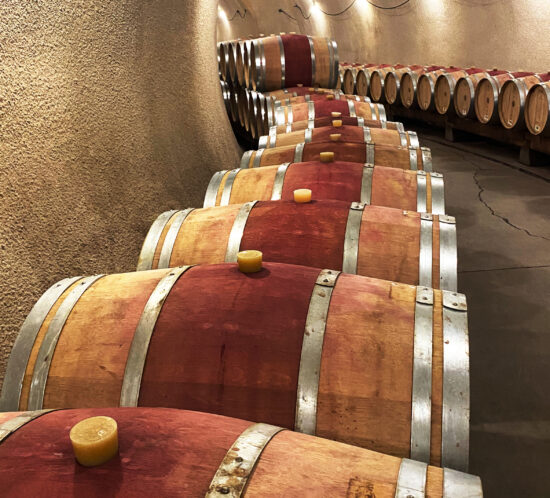 Solvang Wine Tours Wine barrels in cellar