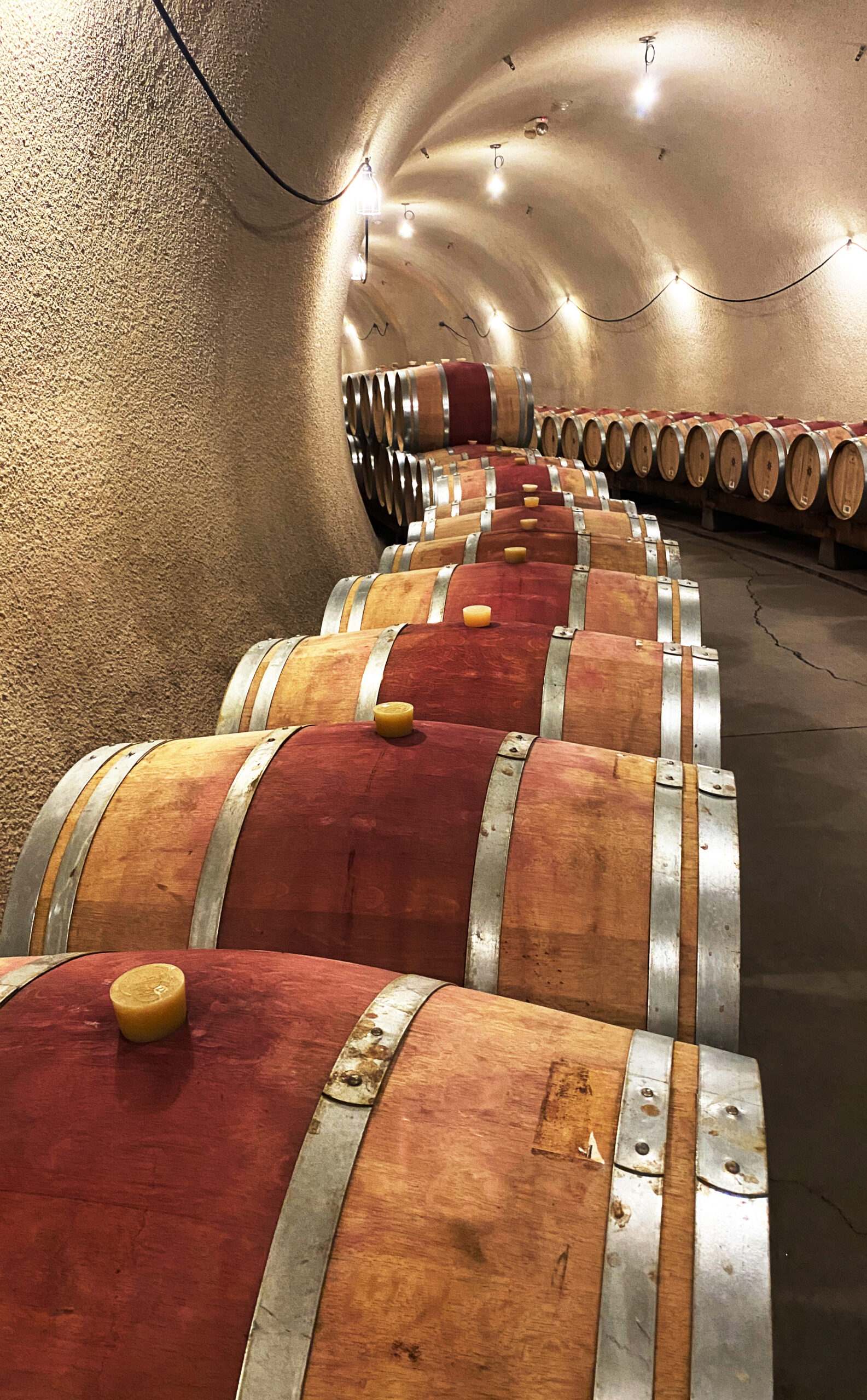 Solvang Wine Tours Wine barrels in cellar